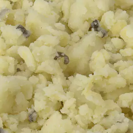 Bijproduct-Aardappelpuree-Vloeibaar