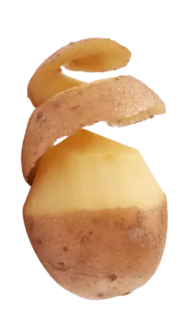 Aardappelschil