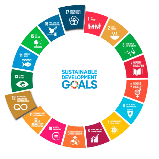 Sustainable-Development-Goals-VN